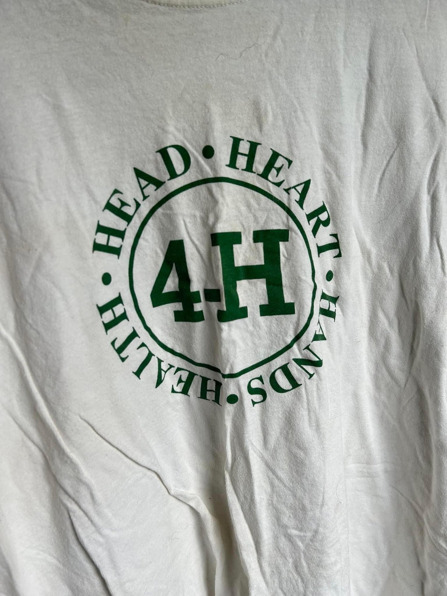 4-H